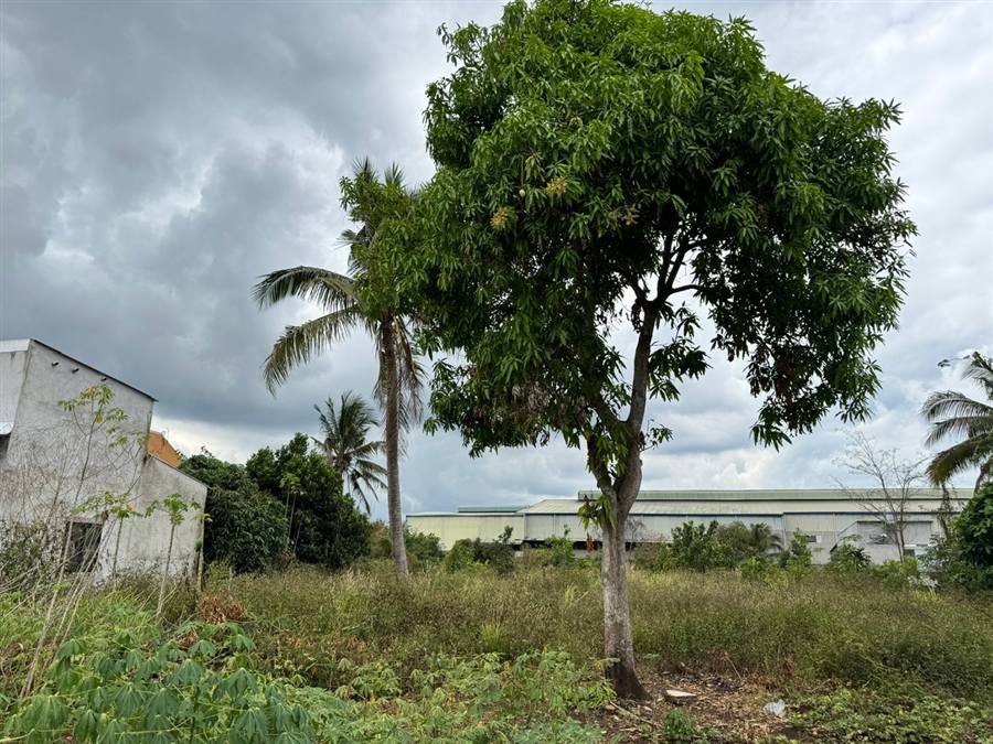 Ảnh lô đất